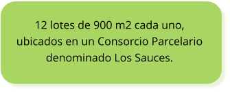 12 lotes de 900 m2 cada uno, ubicados en un Consorcio Parcelario denominado Los Sauces.